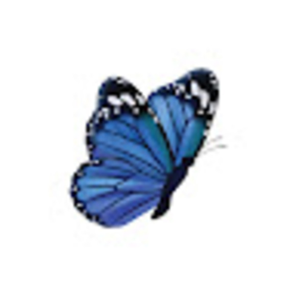 Meet your Posher, Mariposa - Picture 1 of 1